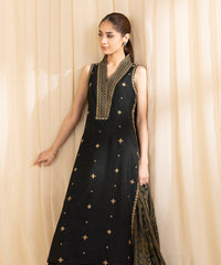 3 Piece -  Embroidered Raw Silk Suit | SAPPHIRE