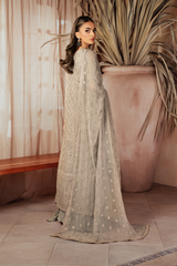 ICK-08 Embroidered Chiffon | Formal Wear | Iznik