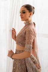 CC-43 Embroidered Net | Formal Wear | Iznik