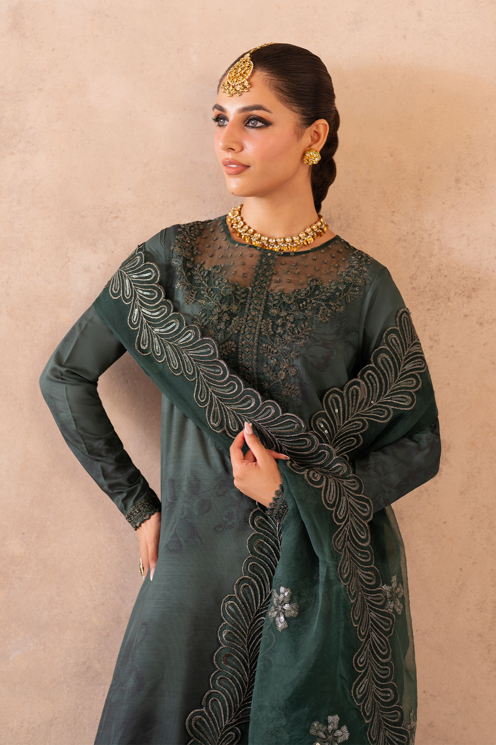 UE-324 Embroidered Raw Silk | Formal Wear | Iznik