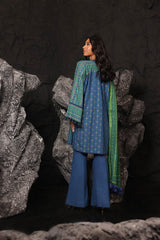 3 Pc Printed Staple Slub Viscose Suit With Herringbone Shawl | Winter | Al Karam