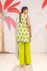 2 Pc Printed Cambric Shirt With Lawn Dupatta  | Silver | Al Karam