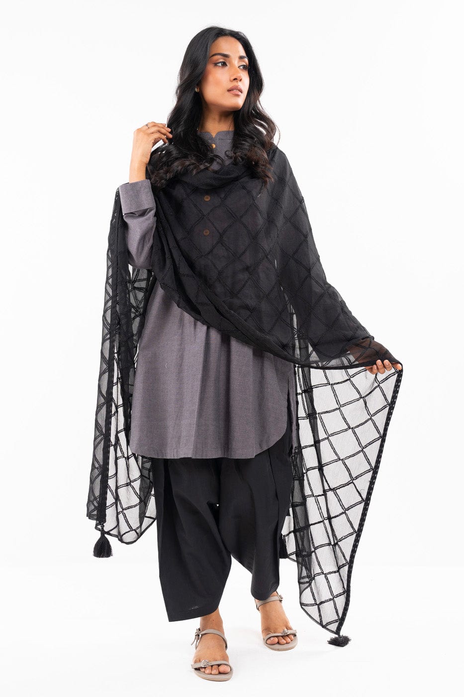 1 Pc Embroidered Chiffon Dupatta | Silver | Al Karam